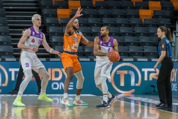 蜘蛛的经历 蜘蛛的经历